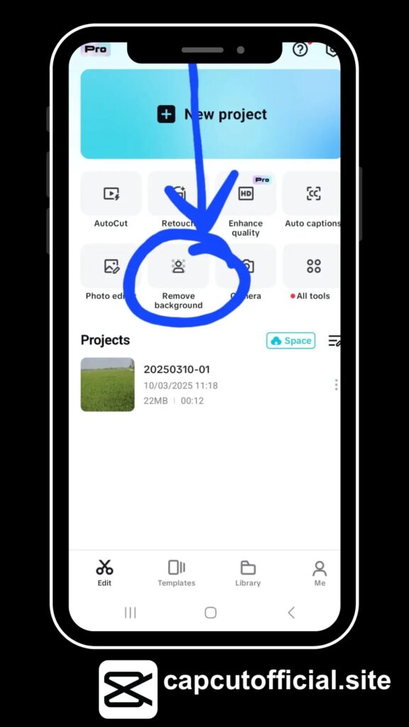 Remove Image Background in CapCut copy