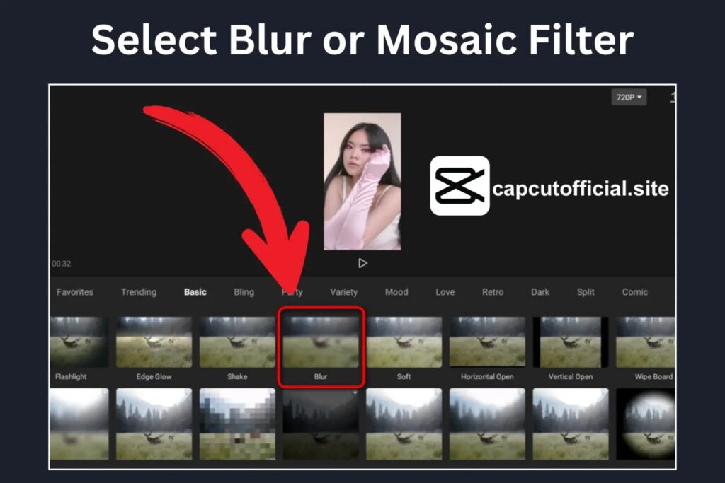 Select Blur or Mosaic Filter 1536x1024 copy
